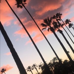 Meet your Posher, Edith